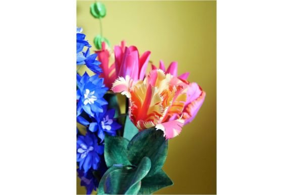 Download Blooming French Tulip - Blooming Collection