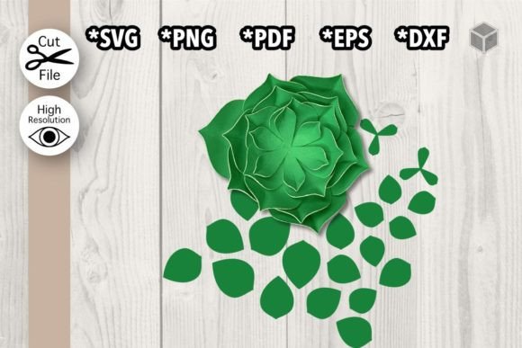 Download Blooming Succulent Template - Blooming Collection
