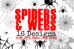 Download Spiders and Webs - Spiders Collection