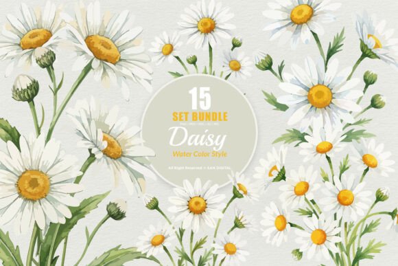 Download 15 Bundle Watercolor Daisy Flower White - Premium Bundle